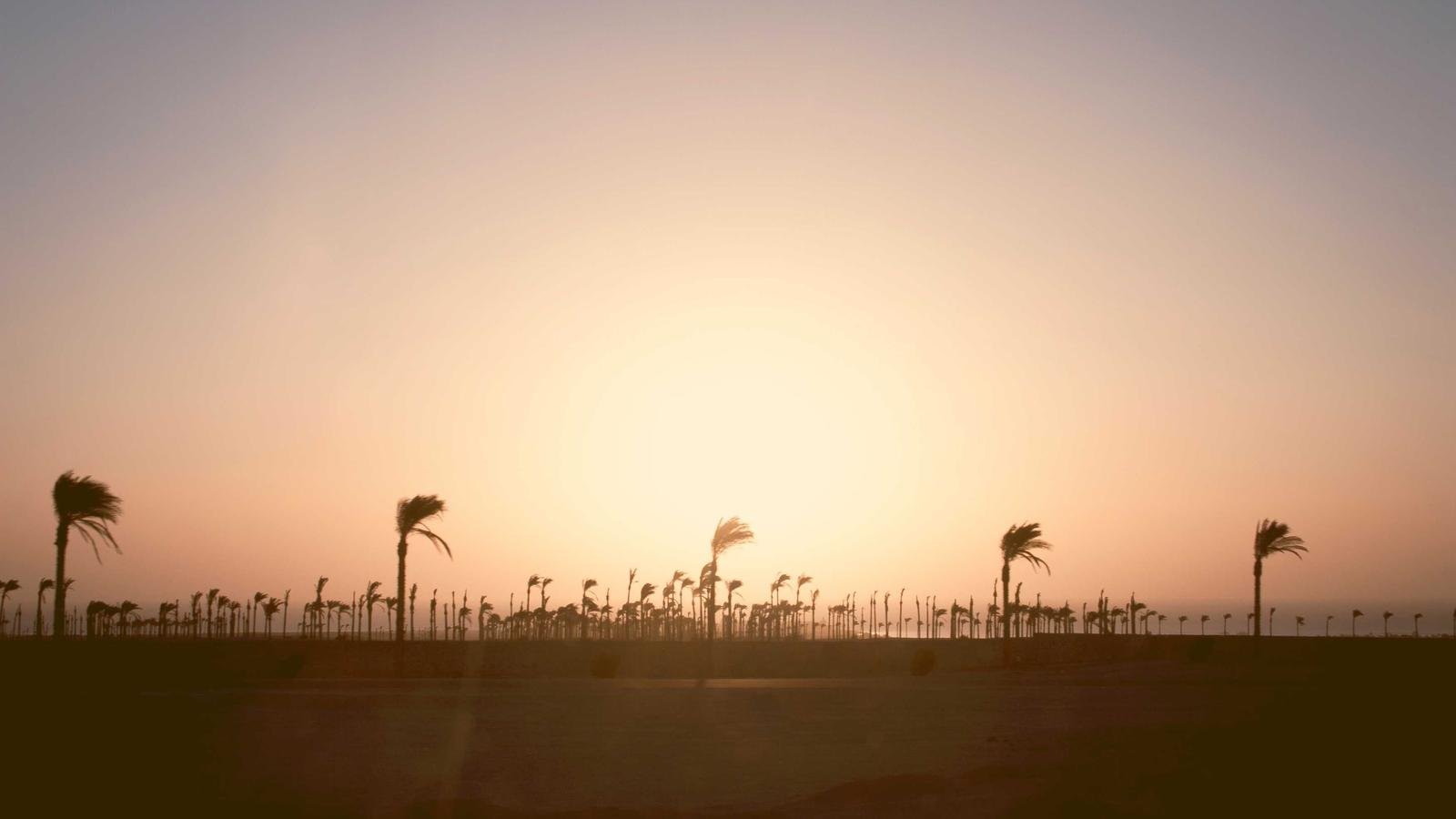 Field watch comparison