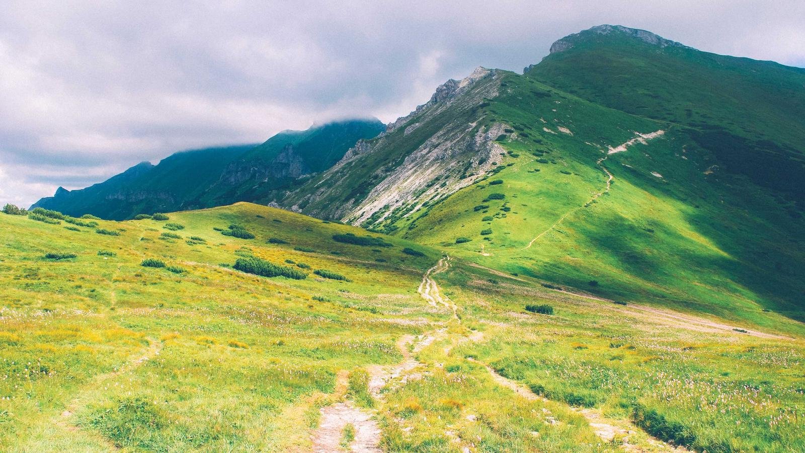 Outdoor illustration